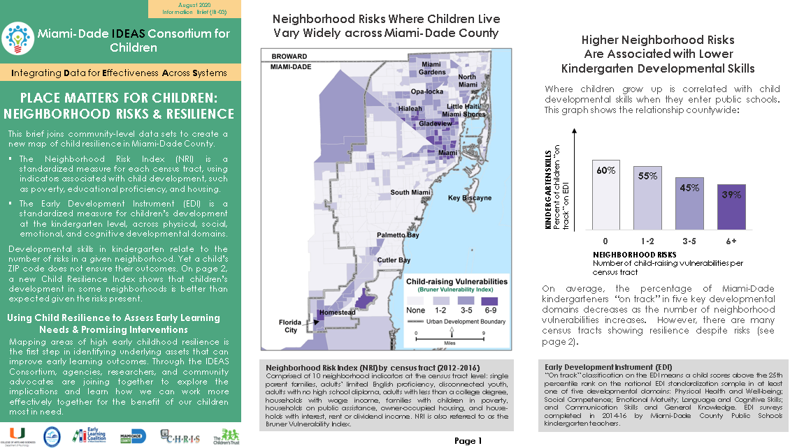 Brief 3a Neighborhood Risks